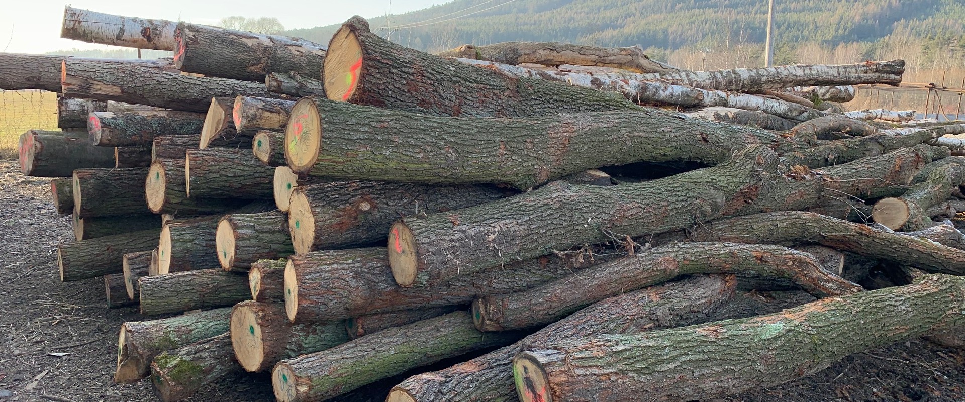 Měkké štípané dřevo